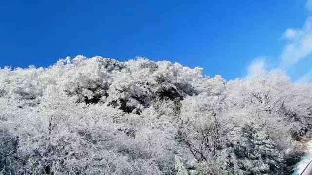 孝亲敬老，长安新安社区为240余名长者发放金戒指