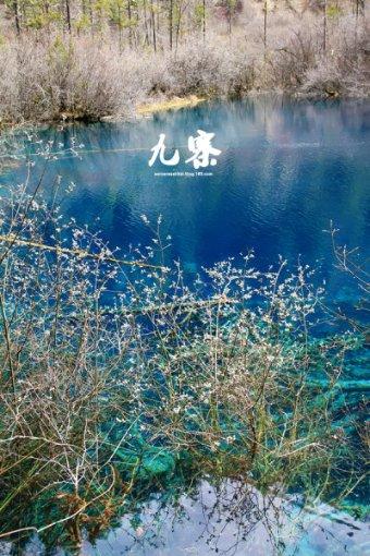 贯彻落实市委六届六次全会精神丨牢牢把握增进民生福祉根本目的 办好民生实事